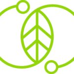 Carta Imballaggio Innovazione sostenibile